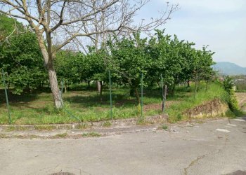 Terreno agricolo via Corticelle, Mercato San Severino - foto 1