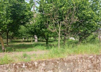 Terreno agricolo via Corticelle, Mercato San Severino - foto 2