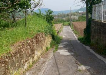 Terreno agricolo via Corticelle, Mercato San Severino - foto 4