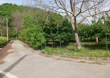 Terreno agricolo via Corticelle, Mercato San Severino - foto 9