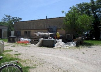 Rustico Ravenna - foto 6
