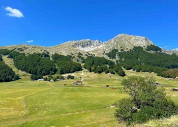 Terreno edificabile San Massimo - foto 4
