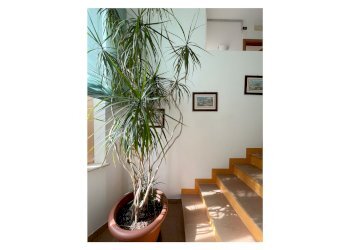 Terraced Villa Via Menedeleev 14, Pesche, Italia, 14, Pesche - photo 55