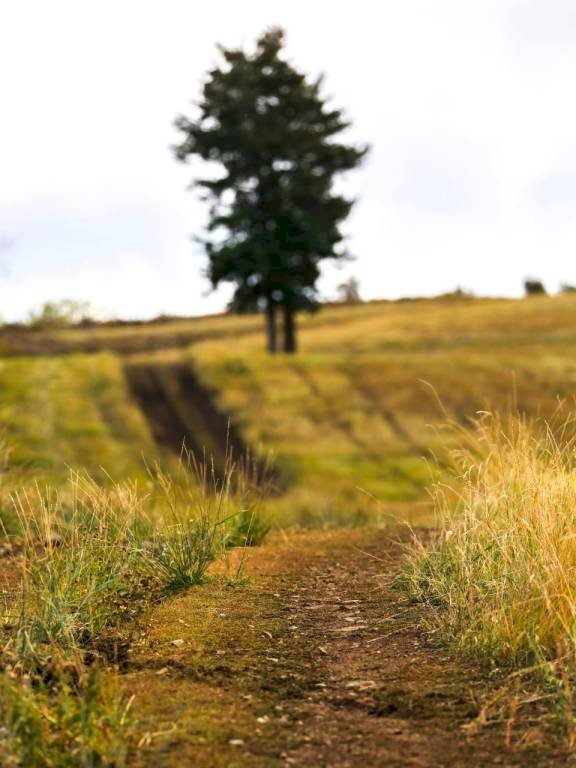 Terreno - Terreno edificabile via di Mezzo, Verucchio - foto 1