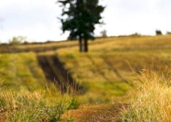 Terreno - Terreno edificabile via di Mezzo, Verucchio - foto 1