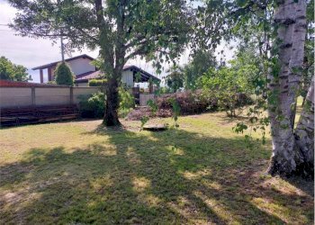 Giardino - Villa stradale Torino, 198, Corio - photo 8