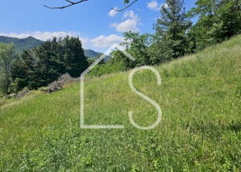 3.jpg - Casa indipendente Monzuno - foto 3