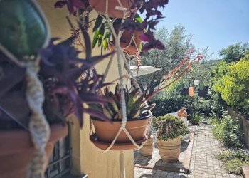 IMG_20260427_152111.jpg - Villa Via Canalburo 66 A, Sarzana - photo 18