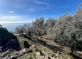 Villa Unifamiliare Genova - foto 5