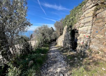 Villa Unifamiliare Genova - foto 7