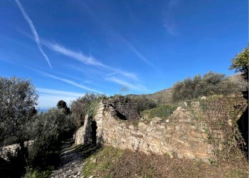 Villa Unifamiliare Genova - foto 8