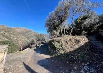 Villa Unifamiliare Genova - foto 11