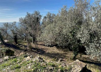 Villa Unifamiliare Genova - foto 13