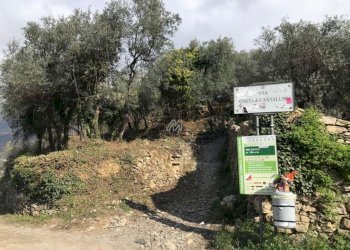 Villa Unifamiliare Genova - foto 15