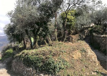 Villa Unifamiliare Genova - foto 16