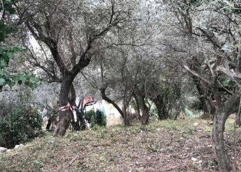 Villa Unifamiliare Genova - foto 17