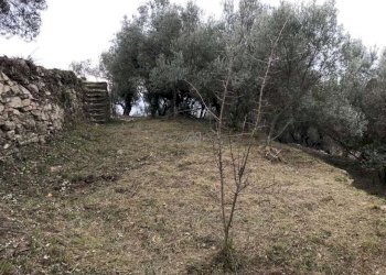 Villa Unifamiliare Genova - foto 21