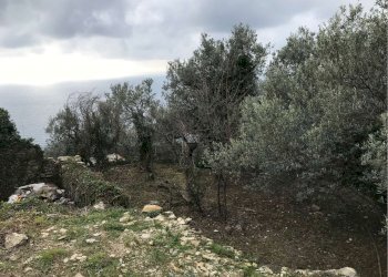 Villa Unifamiliare Genova - foto 22