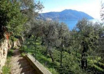 Villa Unifamiliare Genova - foto 25