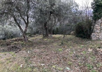 Villa Unifamiliare Genova - foto 28