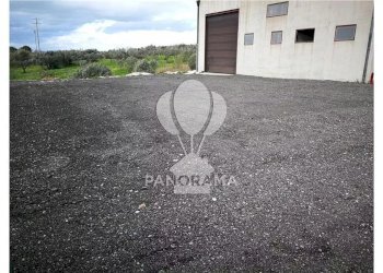 Capannone Cda Fico, Alcamo - foto 10