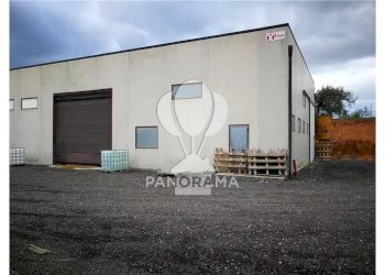 Capannone Cda Fico, Alcamo - foto 13