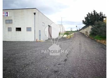 Capannone Cda Fico, Alcamo - foto 14