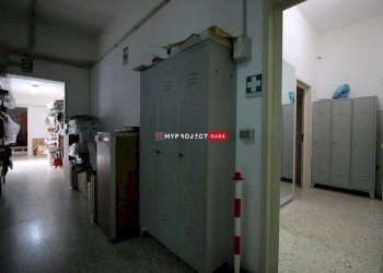 Negozio Via Madonna Piccola, Martina Franca - foto 14