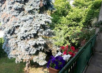 Villa Virle Piemonte - foto 3