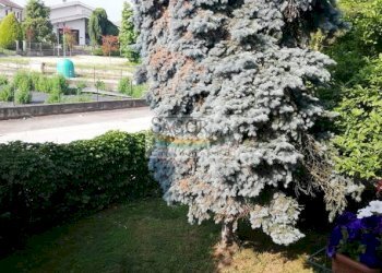 Villa Virle Piemonte - foto 33