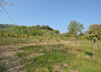Casa indipendente contrada Menocchia, Montefiore dell'Aso - foto 27