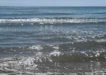 Immagine WhatsApp 2024-06-10 ore 12.49.29_53e8d212 - Villa Campobello di Mazara - foto 8