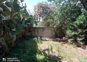 Immagine WhatsApp 2024-06-10 ore 12.49.32_d93afe97 - Villa Campobello di Mazara - foto 18