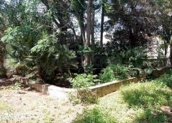 Immagine WhatsApp 2024-06-10 ore 12.49.33_24759f9c - Villa Campobello di Mazara - foto 21