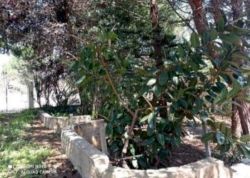 Immagine WhatsApp 2024-06-10 ore 12.49.33_b553b79d - Villa Campobello di Mazara - foto 22