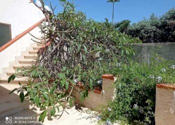 Immagine WhatsApp 2024-06-10 ore 12.49.34_1b091c36 - Villa Campobello di Mazara - foto 24