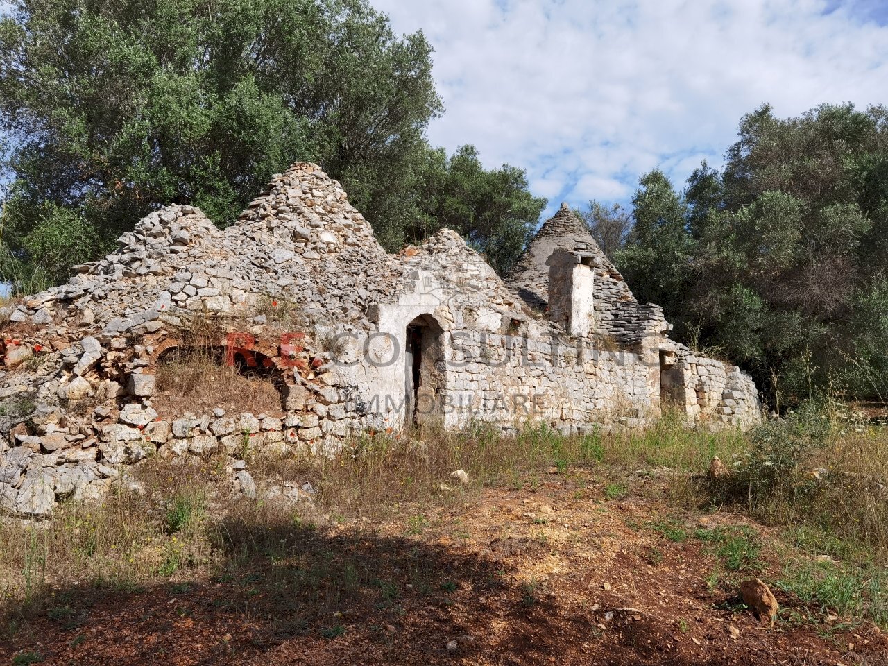 IMG_20240602_091236.jpg - Baita Ceglie Messapica - foto 2