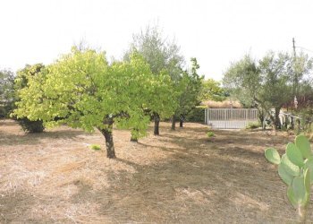 Villa Bifamiliare Sessa Aurunca - foto 18