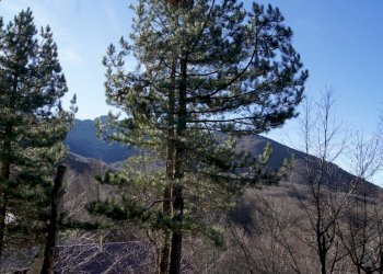 Portion of a house Ventasso - photo 44