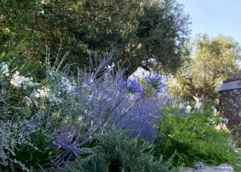 particolare - Villa via delle Rose, Orbetello - foto 9