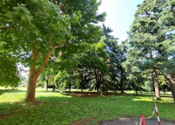 Giardino - Bilocale via Luigi Capuana, 50, Rho - foto 28