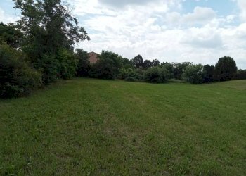 Terreno - Terreno edificabile via Prealpi, Besozzo - foto 7