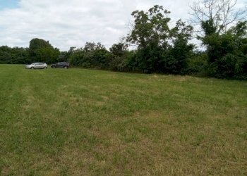 Terreno - Terreno edificabile via Prealpi, Besozzo - foto 9