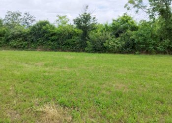 Terreno - Terreno edificabile via Prealpi, Besozzo - foto 12