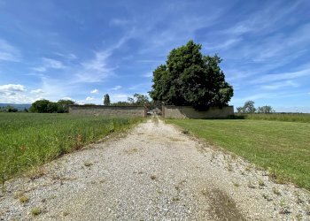 Farmhouse Via Valle Po, 360., Cuneo - photo 54