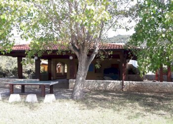 Negozio Nocera Terinese - foto 4