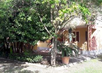 Negozio Nocera Terinese - foto 7