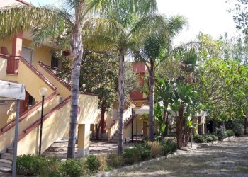 Negozio Nocera Terinese - foto 8