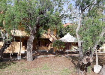 Negozio Nocera Terinese - foto 9