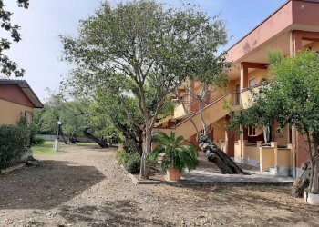 Negozio Nocera Terinese - foto 11